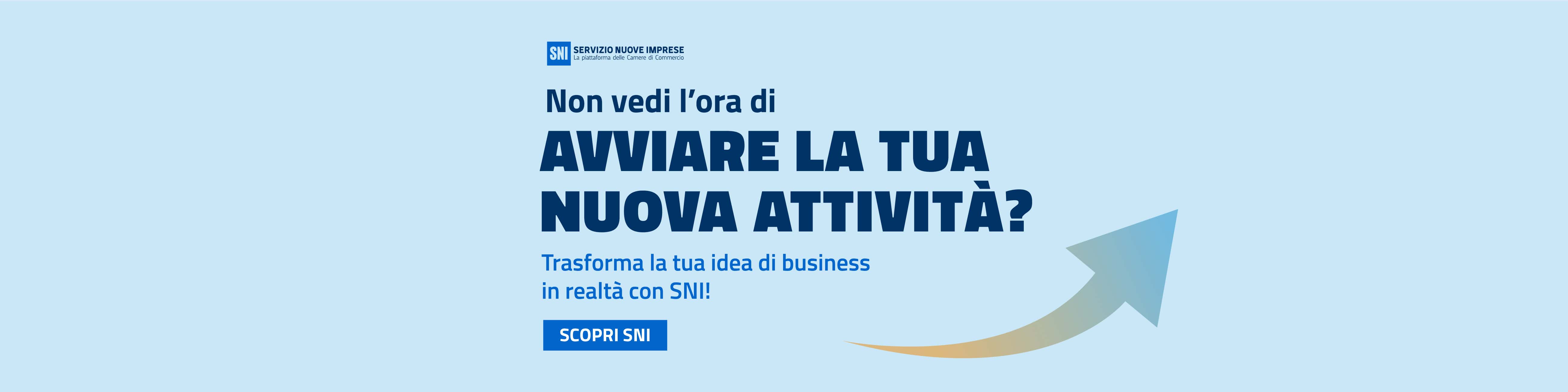 SNI Banner ADV Sito Web CCIAA 03